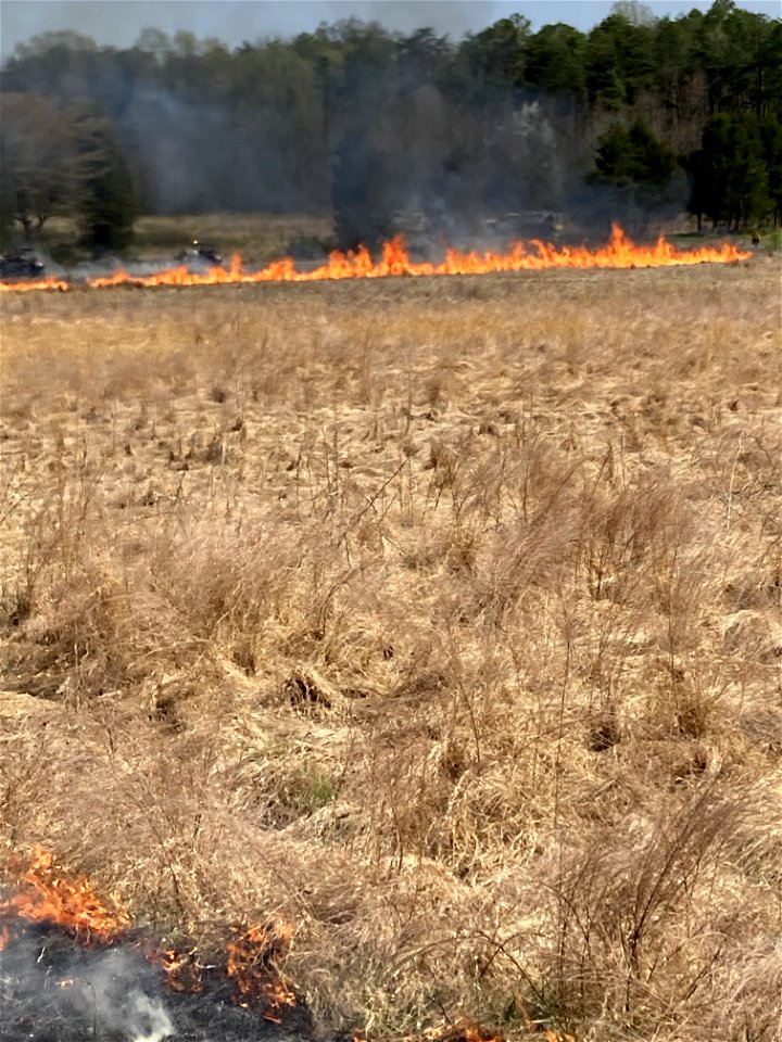 2021 USFWS Fire Employee Photo Contest Category: Landscape and Fire