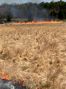 2021 USFWS Fire Employee Photo Contest Category: Landscape and Fire photo