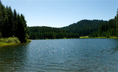 untitled-1476jpg_49364717126_o