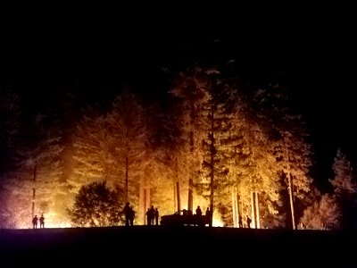 Monument Fire photo