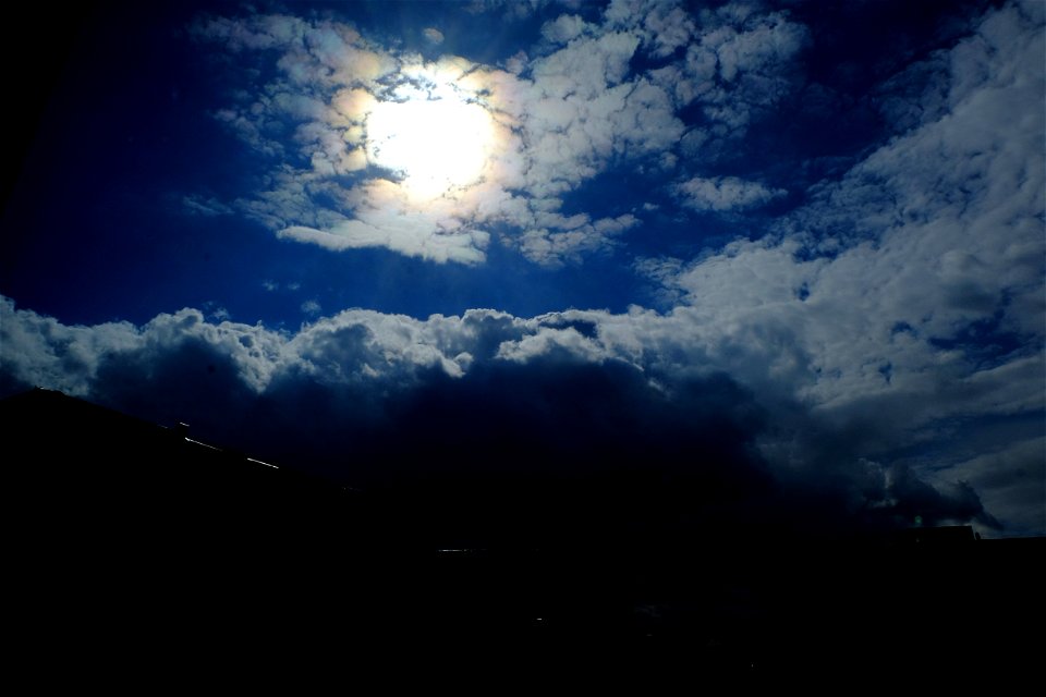 nori-sedNCaramfil2015_0421_155448