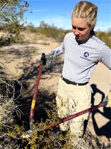 AmeriCorps crew at Palm Springs-South Coast Field Office