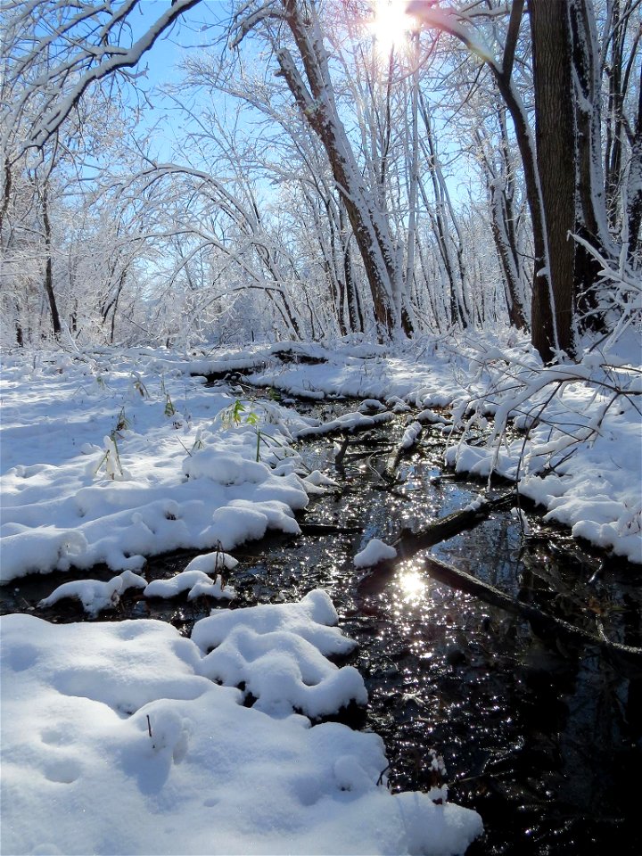 Port Louisa National Wildlife Refuge