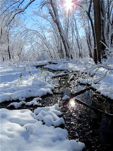 Port Louisa National Wildlife Refuge