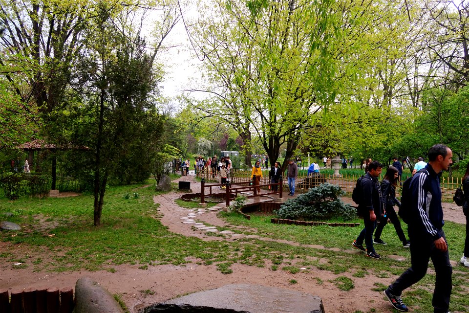 japanes_garden_rain_Herastrau (11)