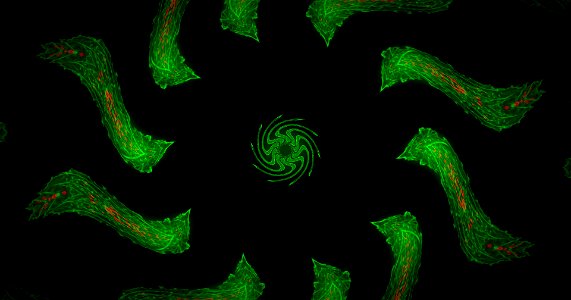Kaleidoscope211210174503