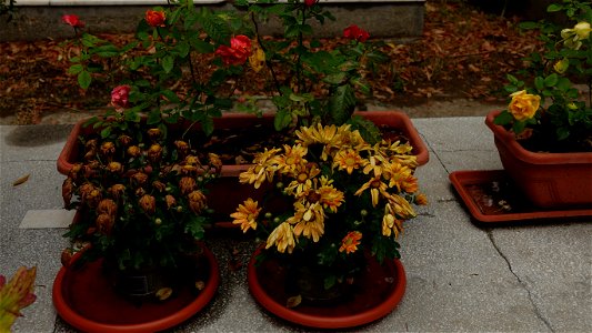 DSC06662