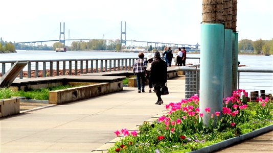 Spring Along the Fraser River