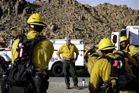 Wildland fire crew near Quail Mountain