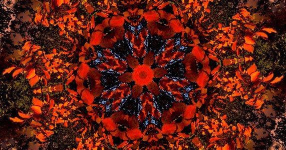 Kaleidoscope211210152241