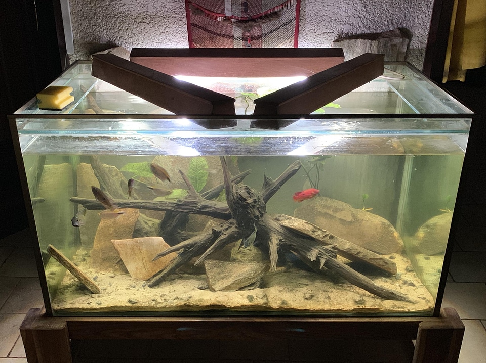 Aquarium tank water