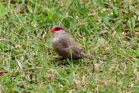 ZZIMG_8426