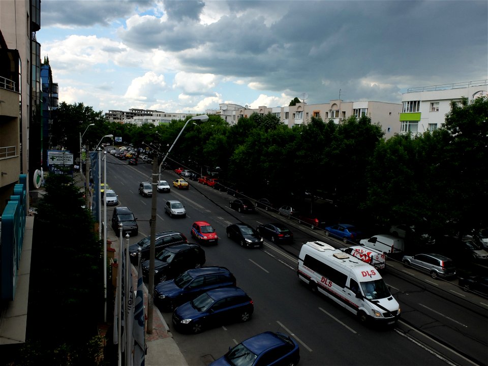 nori-sediu2015_0526_164910