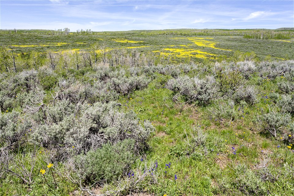 Northeast of Reader Basin