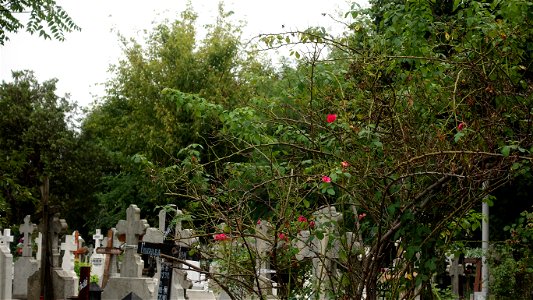 DSC06697
