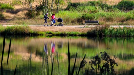 Green Timbers Urban Forest Park
