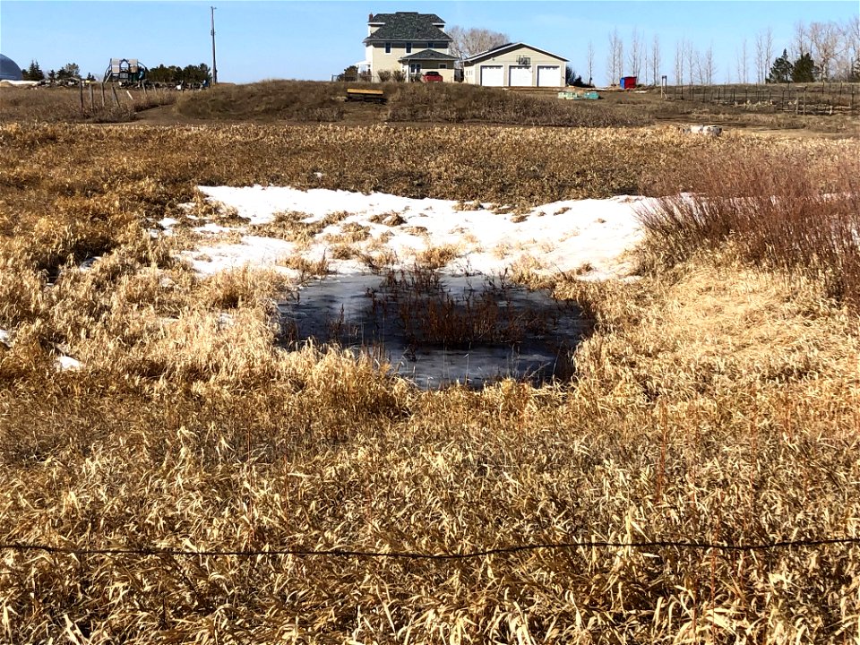 Water in the Back Slough