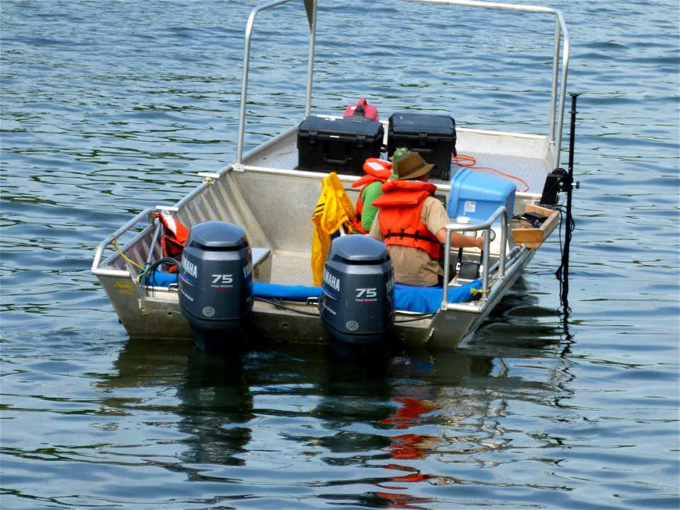 Wild Fish Sampling photo