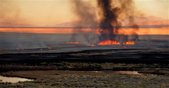 Landscape Category - USFWS 2022 Photo/Video Contest