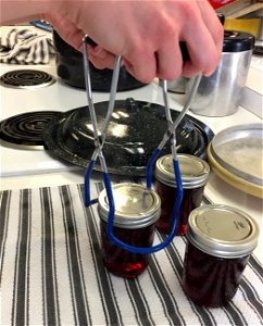Placing grape jelly on counter to cool using jar lifter photo