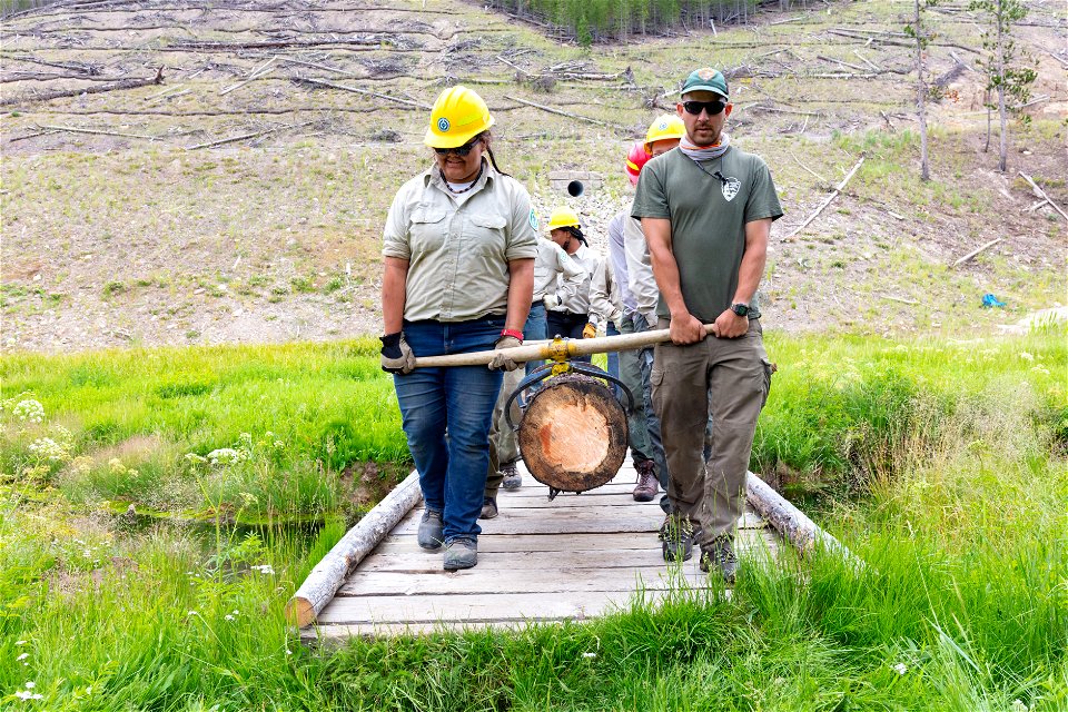 YCC Alpha Crew 2021: helping trail crew build a foot bridge (3)