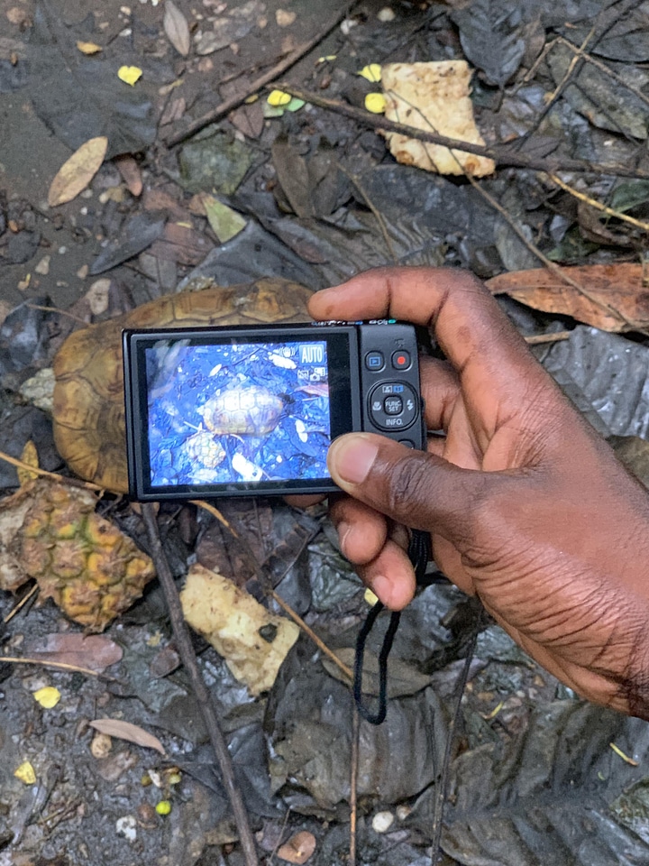 Photographer art camera