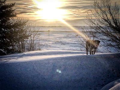 Touched By Light