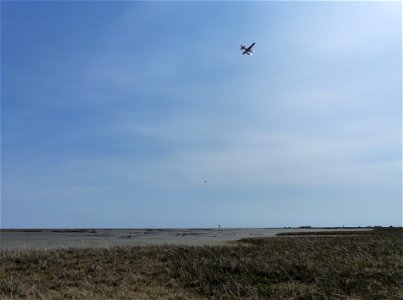 Aerial brant colony survey photo