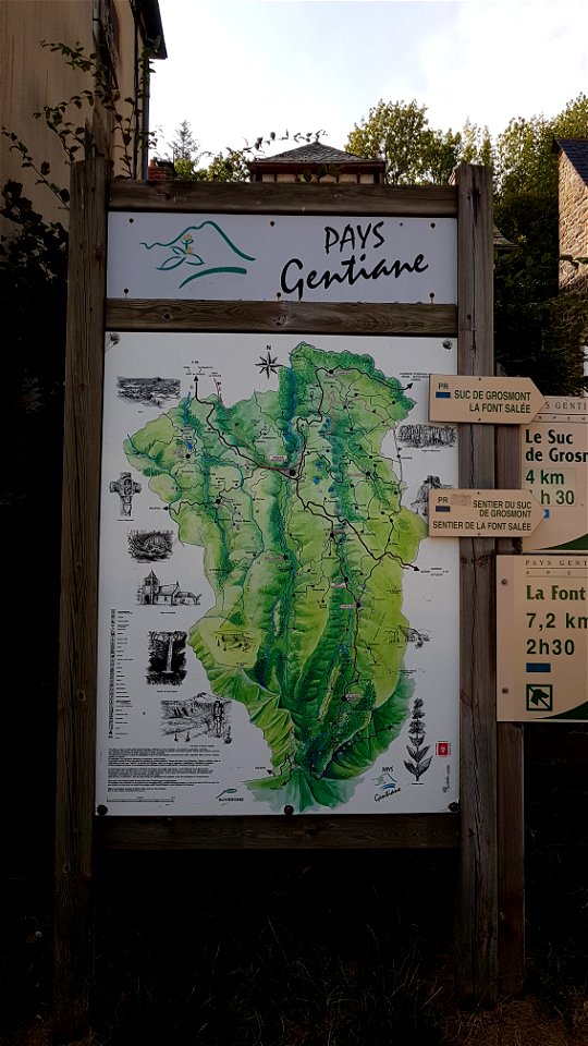 Pays de la gentiane.