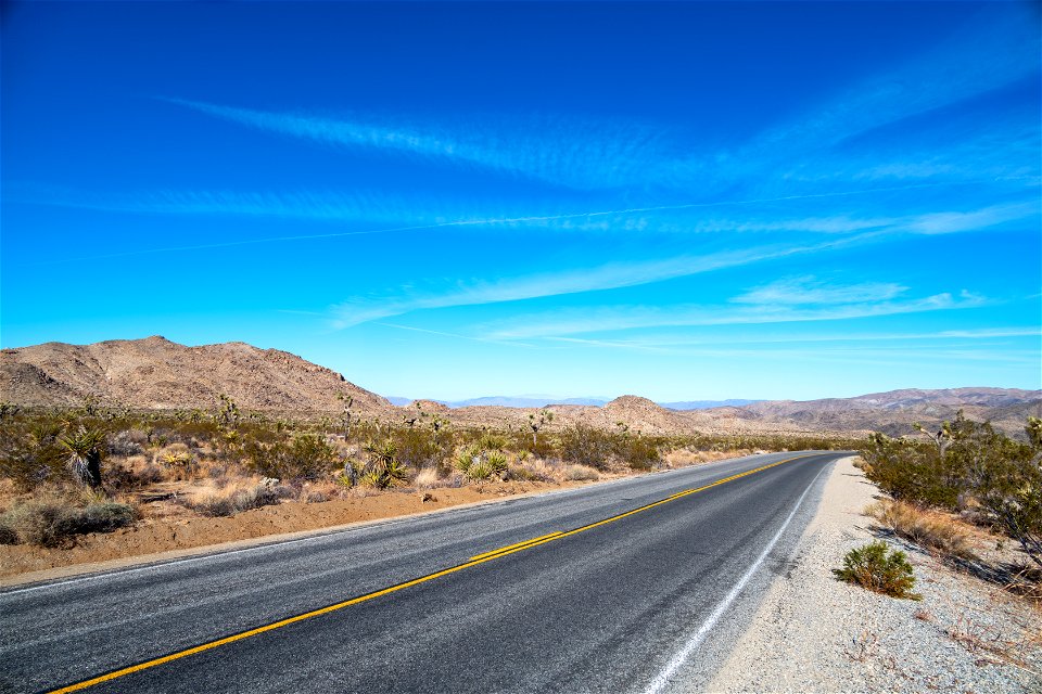Joshua Tree National Park