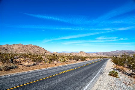 Joshua Tree National Park