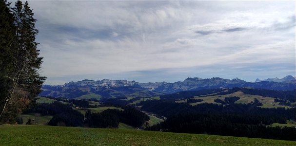 IMG_20210313_111238