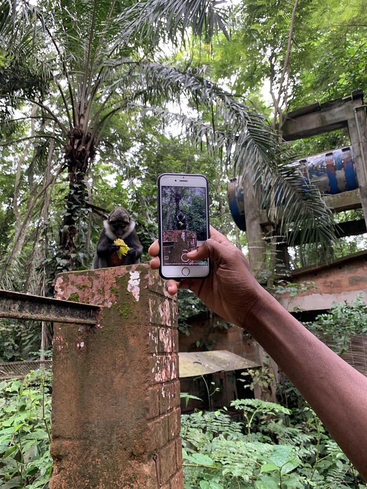 Animal people smartphone