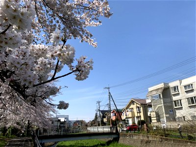 Kurome River photo