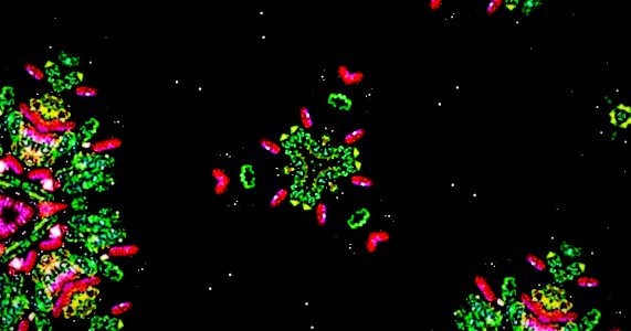 Kaleidoscope211210174707