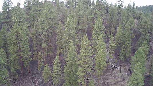 Ochoco Ranger Station 1