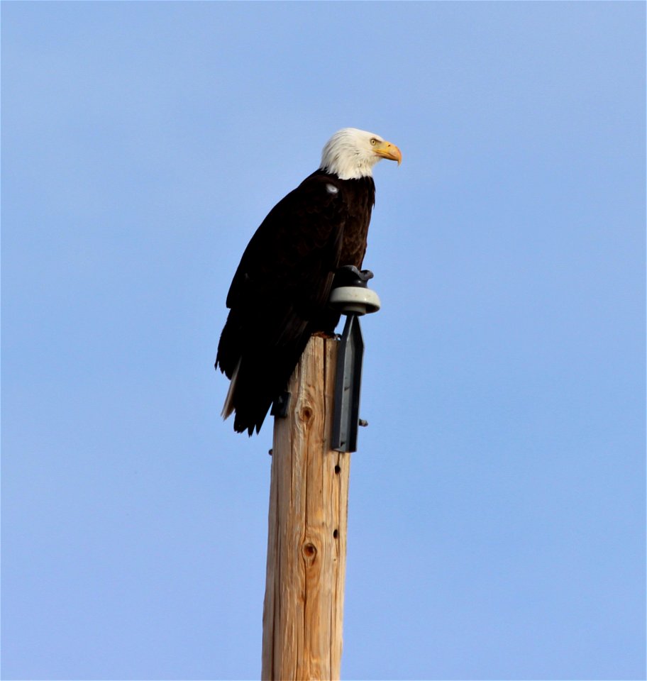 Freedom Watch