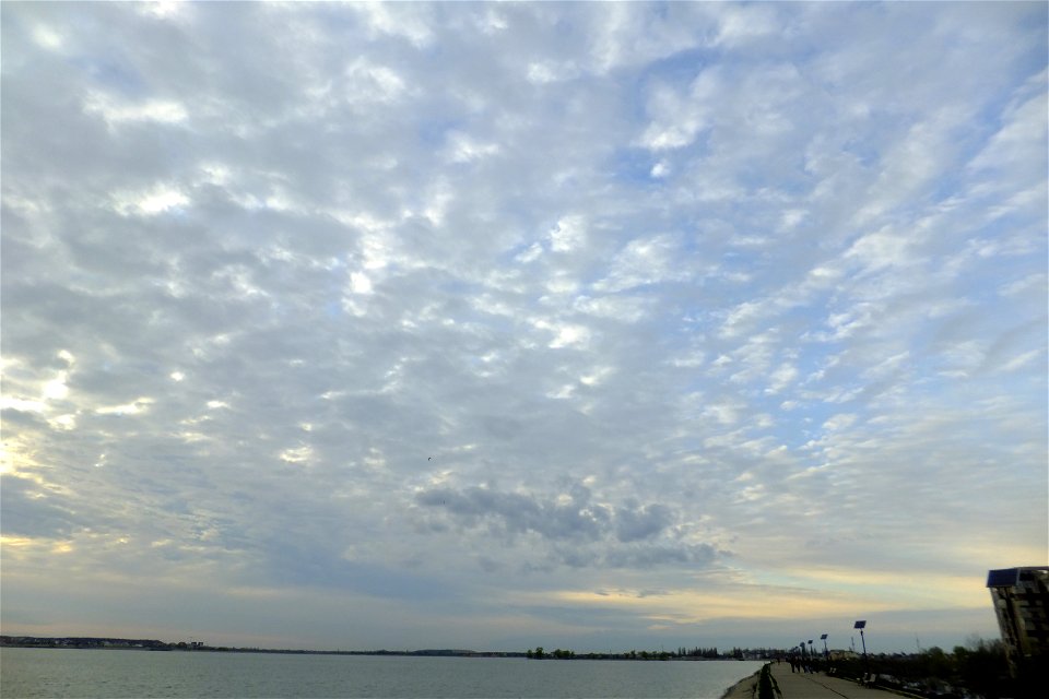 nori-LaculMorii2014_0325_060608