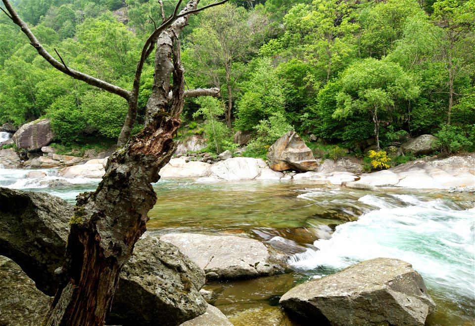Mountain river scene