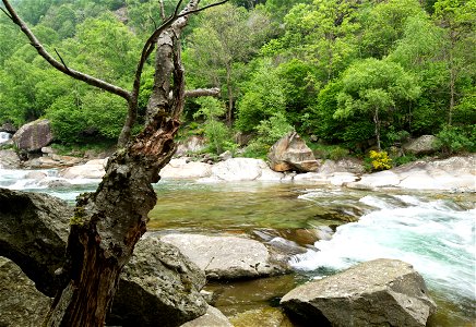 Mountain river scene photo