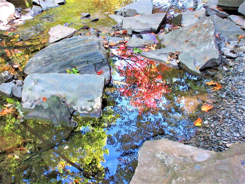 fall reflection 4 photo