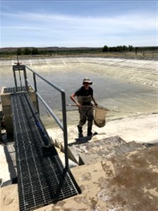 Almost Done With a Harvest photo