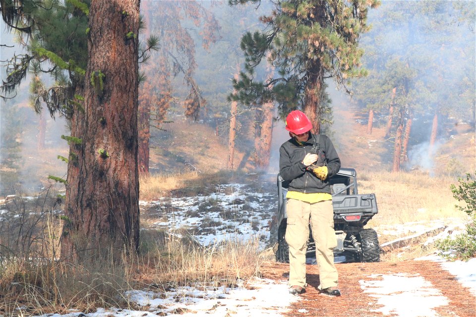 Charcoal Gulch Pile Burn, Idaho City photo