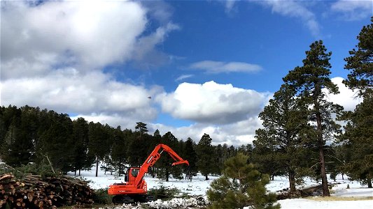 VIDEO: FWPP Helicopter Thinning Operations