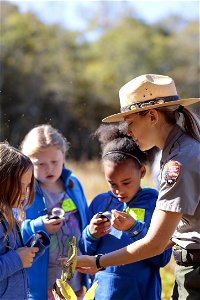 Students inspect Milkweed at an Education Program photo