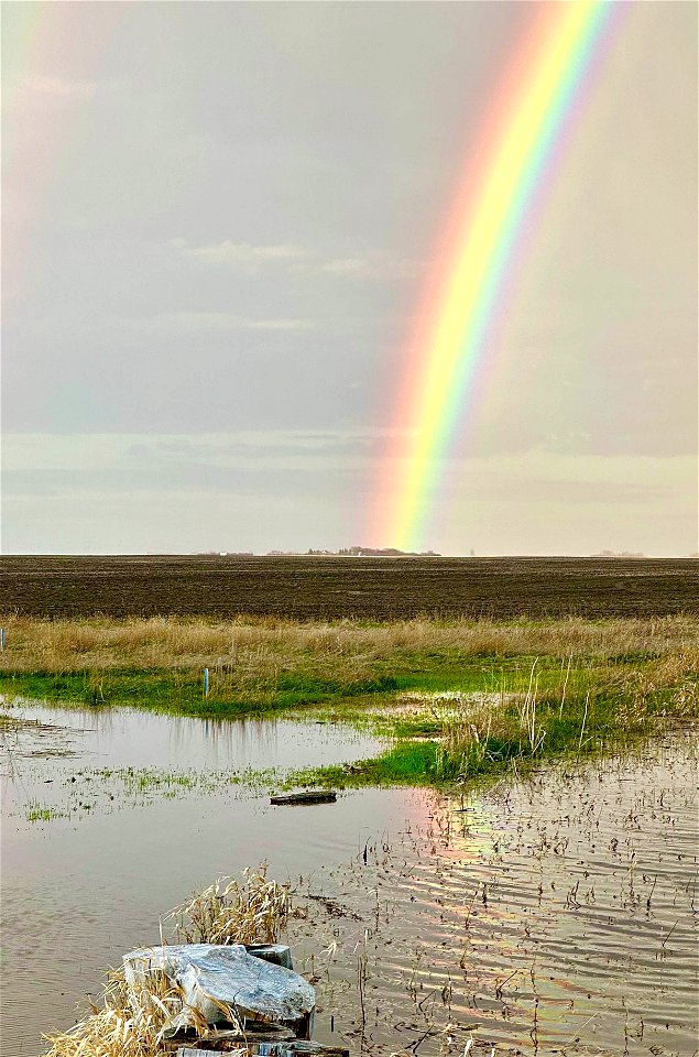 Take a Bow, Rainbow