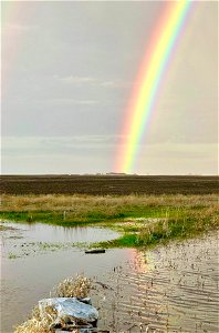 Take a Bow, Rainbow