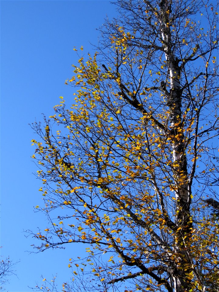 20221018-FS-Superior-SAR-004