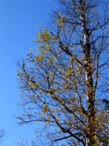 20221018-FS-Superior-SAR-004