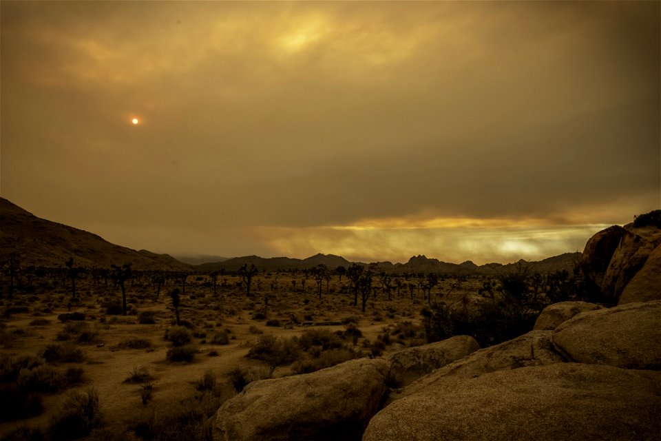 Quail Springs under smoke from the Apple Fire